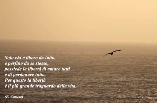 Libertà-amore-e-perdono